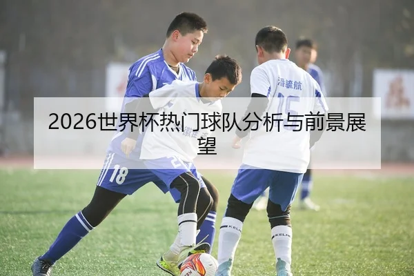 2026世界杯热门球队分析与前景展望
